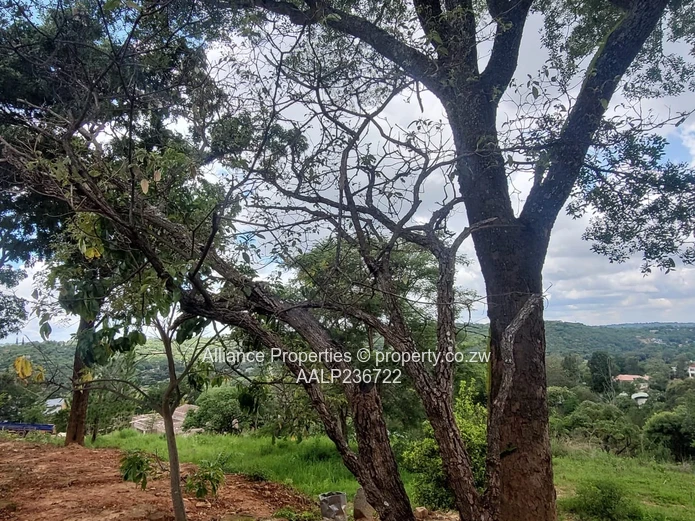 Prime Helensvale Residential Stand