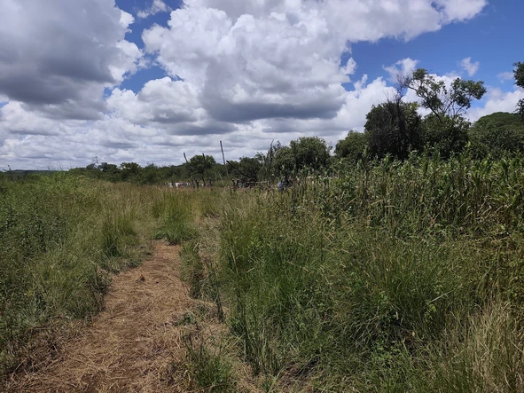 Farm & Agricultural Land