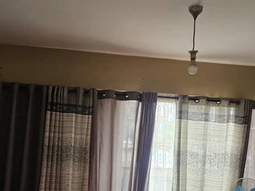 Flat & Apartment