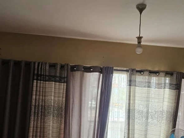 Flat & Apartment