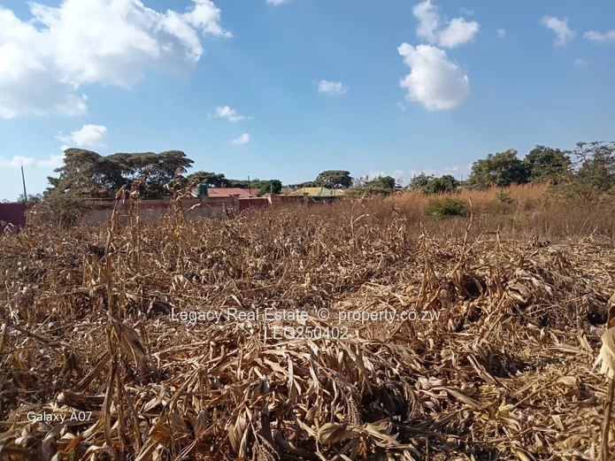 1500m² Vacant Stand in Hatcliffe — Level with Road Access
