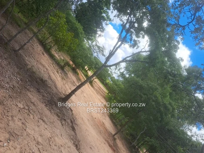 Prime Commercial Opportunity: Stand for sale near Mutangadura Turn-Off  (Sole Mandate)