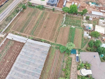 Stands & Residential Land