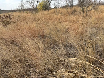 Commercial & Industrial Land