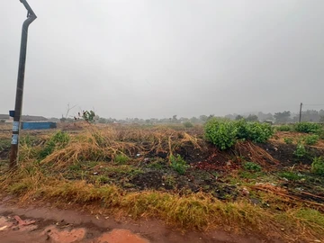 Land