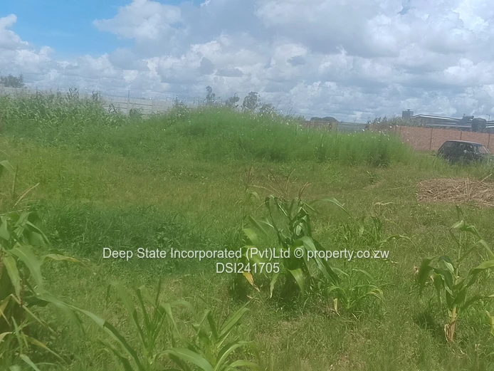 Avonlea Stand for sale 