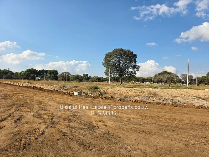 Hatfield Stands For Sale