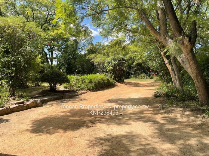 Hatfield 7600 s/mtrs property for sale (Sole Mandate)