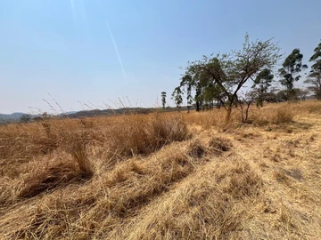 Farm & Agricultural Land