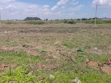 Stands & Residential Land