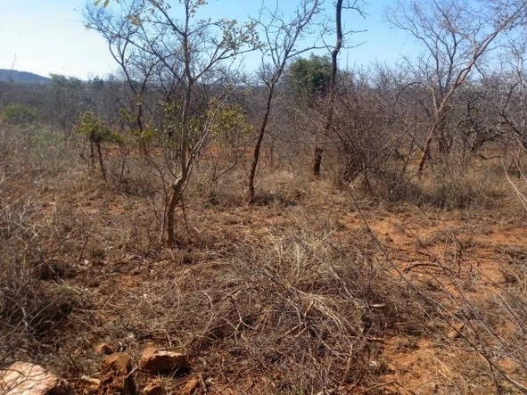 Commercial & Industrial Land