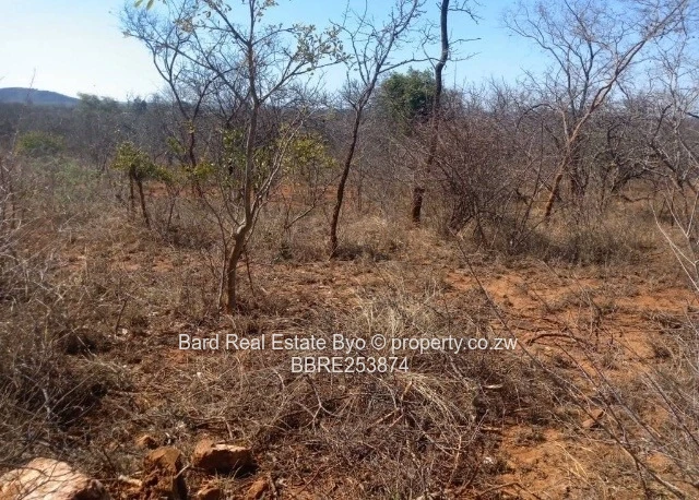 Commercial Stand For Sale – Victoria Falls (Sole Mandate)