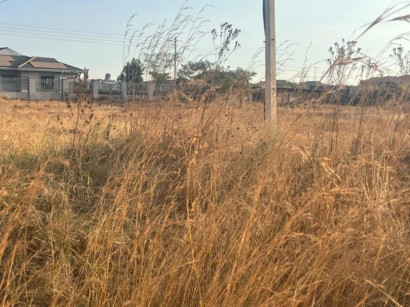 Stands & Residential Land