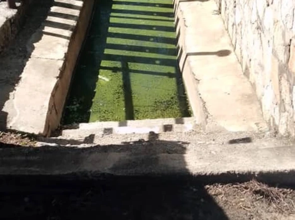 Farm & Agricultural Land