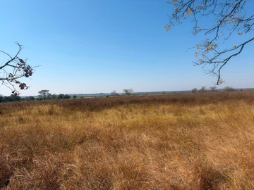 Commercial & Industrial Land