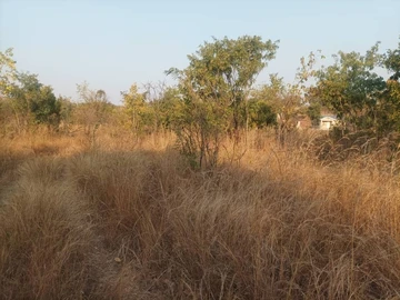 Farm & Agricultural Land