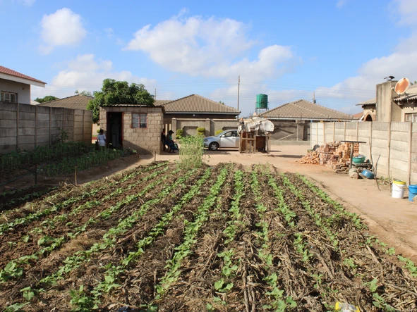 Stands & Residential Land