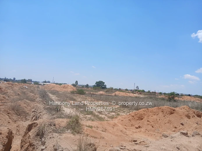 Executive Low Density Stands- Ridgemont Park, Rusape (Sole Mandate)