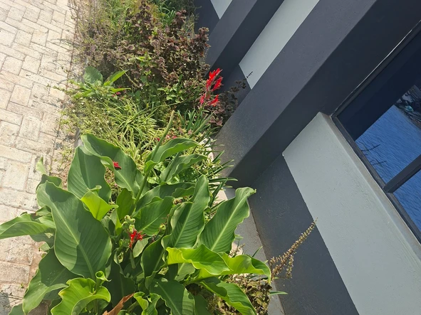 4 Bedroom Flat & Apartment