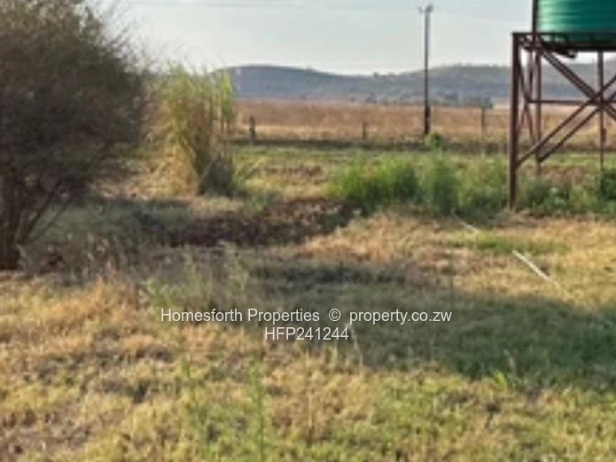 Chinhoyi orange groove