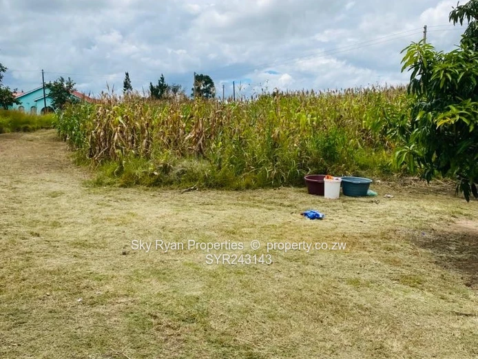 Norton Knowe Phase 2 Stand For Sale