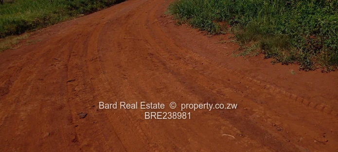 Medium Density Stands For Sale