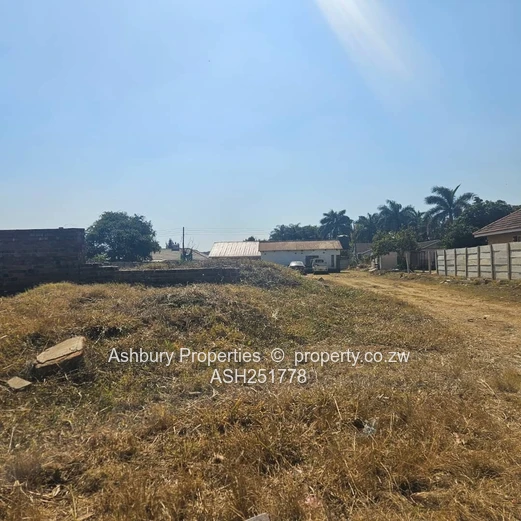 Great Investment Opportunity in Belverdere