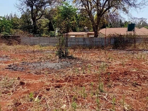 Stands & Residential Land