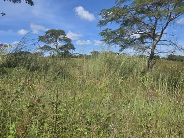 Farm & Agricultural Land