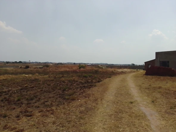 Farm & Agricultural Land