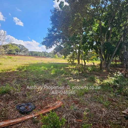Prime Investment Opportunity in Mandara (Sole Mandate)