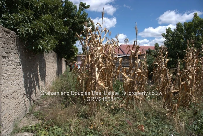 Zimre Park stand for sale
