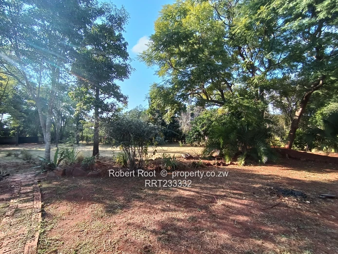 4 bed family home in Chisipite