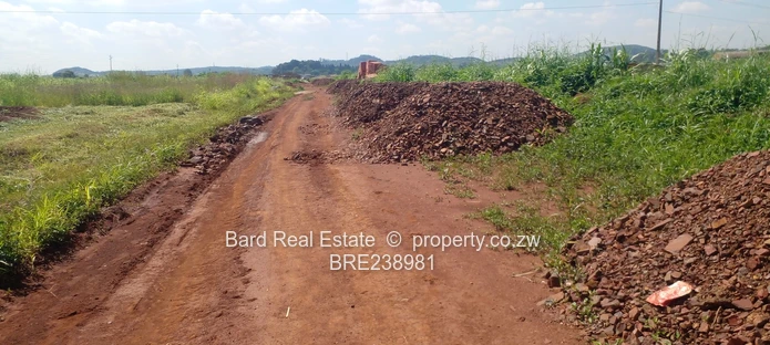 Medium Density Stands For Sale