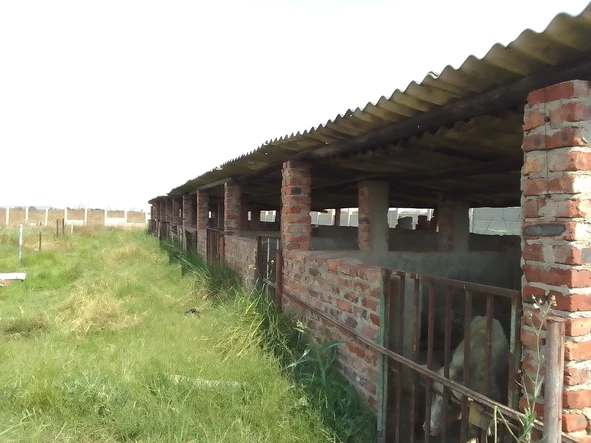 Farm & Agricultural Land