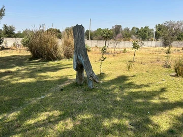 Stands & Residential Land