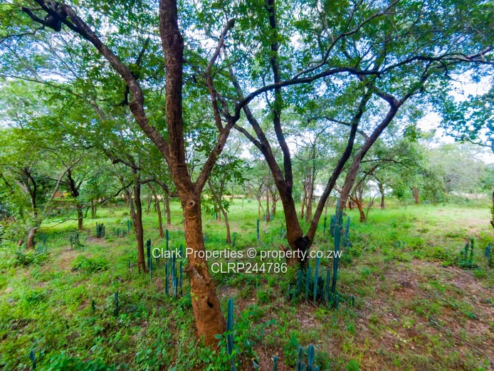 Prime 4,000sqm Residential Stand in Kadoma