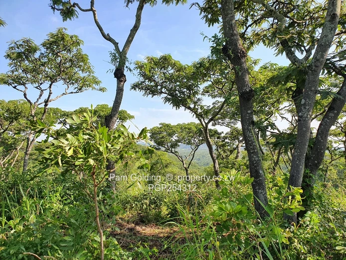 Rare 100 Acre Plot in the Path of Harare's Urban Expansion (Sole Mandate)