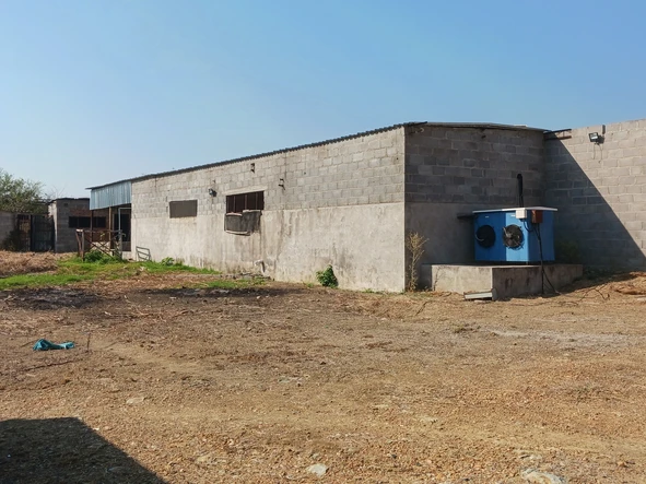 Farm & Agricultural Land