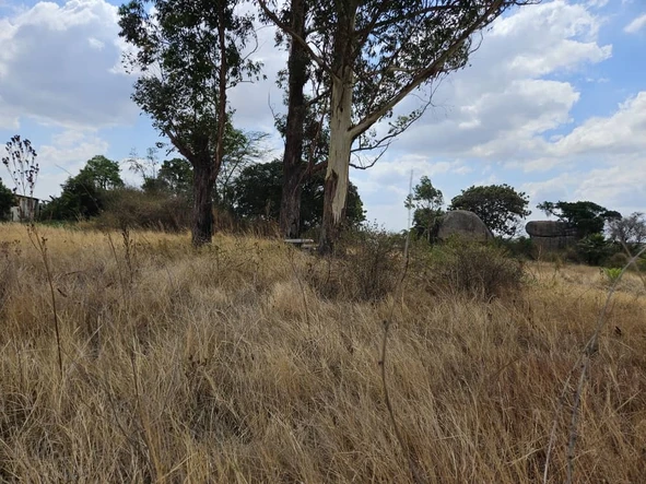 Farm & Agricultural Land