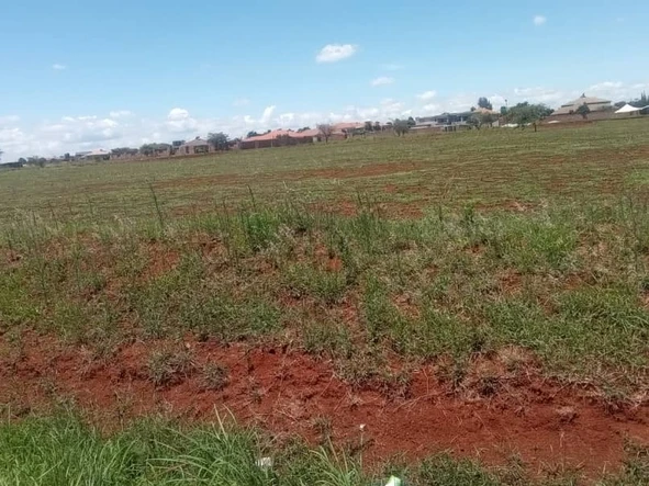 Stands & Residential Land