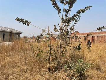 Stands & Residential Land