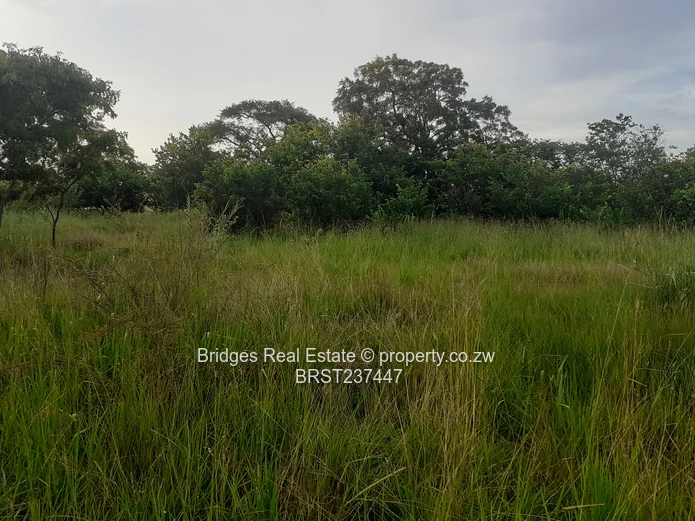 Residential infill stands with Title Deeds