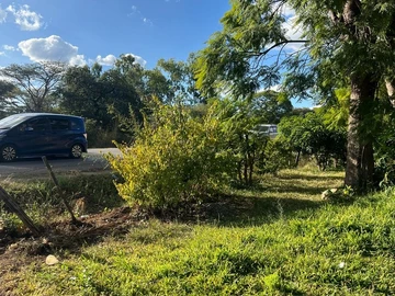 Farm & Agricultural Land