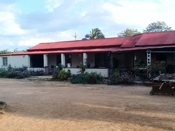 Farm & Agricultural Land