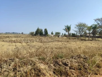 Farm & Agricultural Land