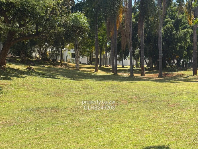 Helensvale 3-Bed Home, Light Hallway, 1.81ha & Borehole