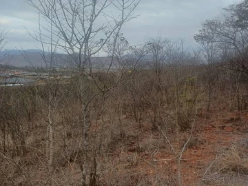 Farm & Agricultural Land