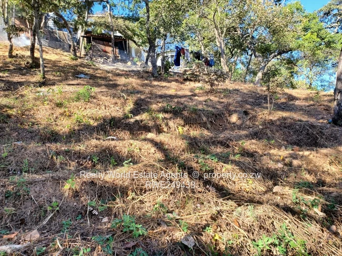 Residential Stand for Sale – Glen Lorne