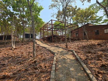 Farm & Agricultural Land